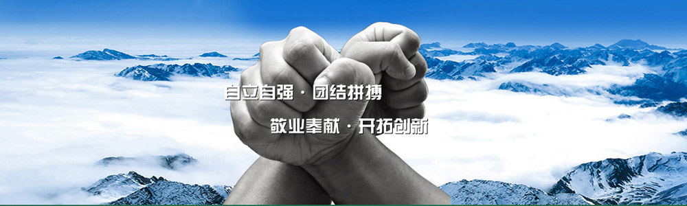 Z6·尊龙凯时「中国」官方网站_项目250